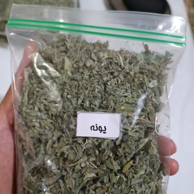 گیاه پونه کوهی 